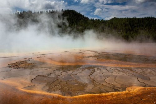 How a Microbe From Yellowstone's Hot Springs Could Help Feed the World