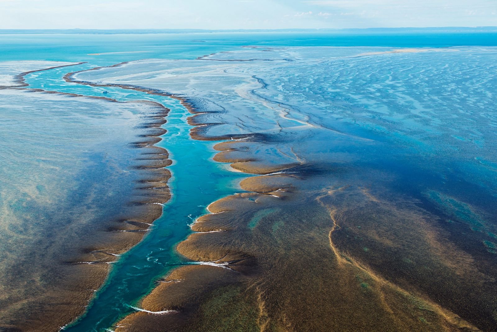 For Three Hours Every Day, Open Ocean Transforms Into Australia’s ‘Ghost’ Reef