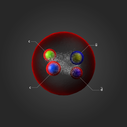 Twice the charm: long-lived exotic particle discovered