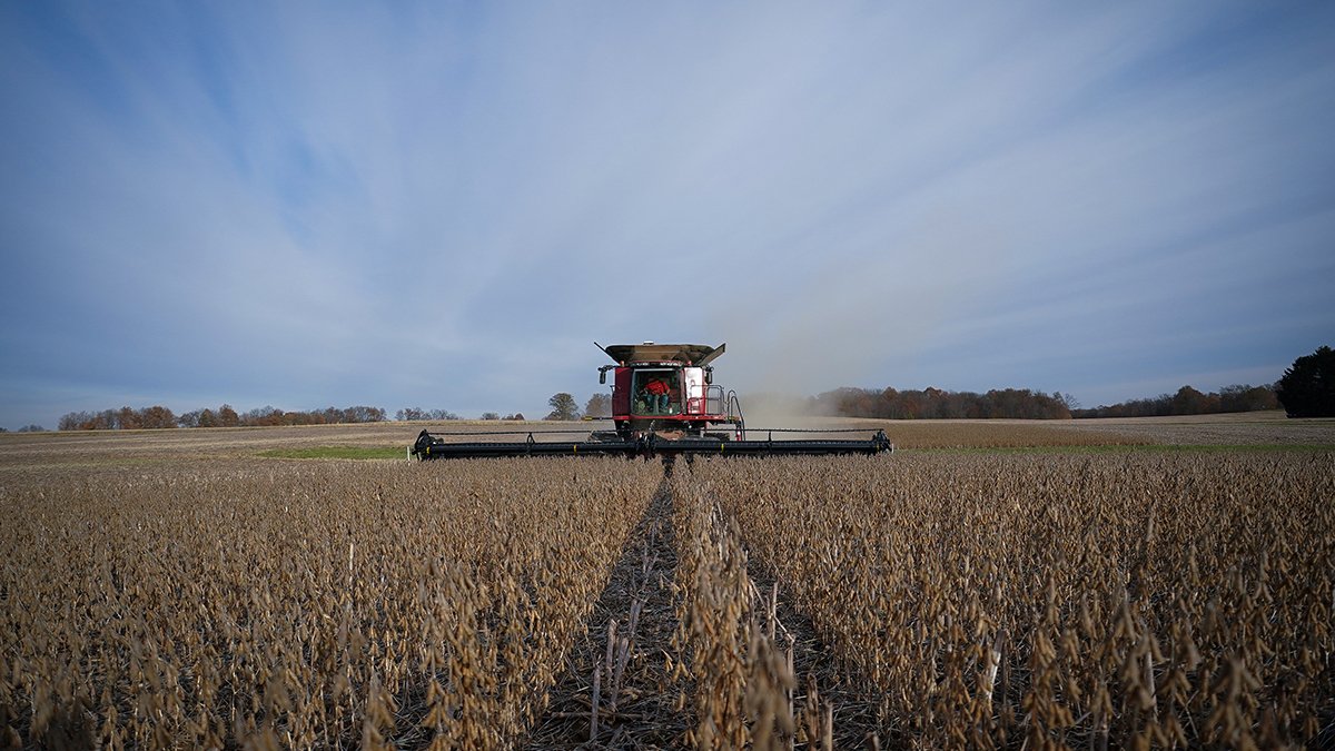 Here’s How Countries Are Retaliating Against Trump’s Tariffs