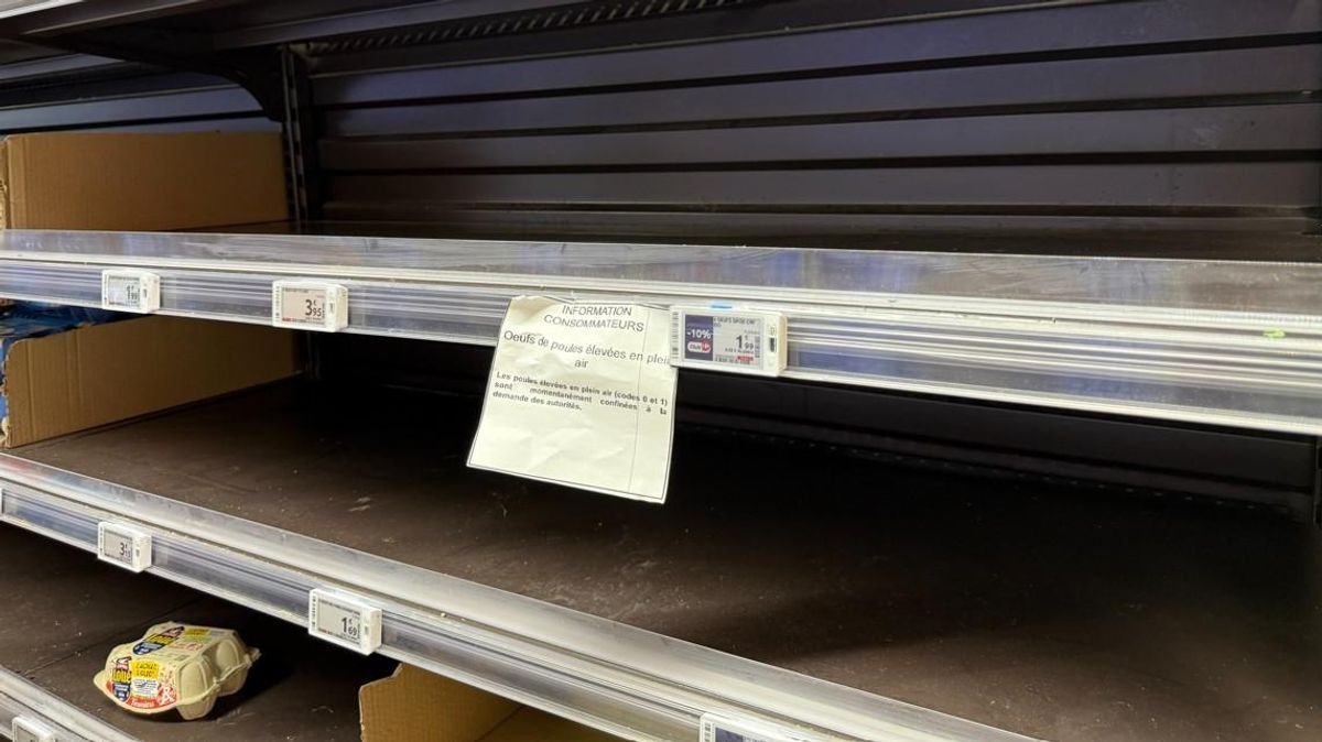 « Si nous avions 10 % de production en plus, ces œufs seraient vendus » : le nouvel or jaune victime de son succès