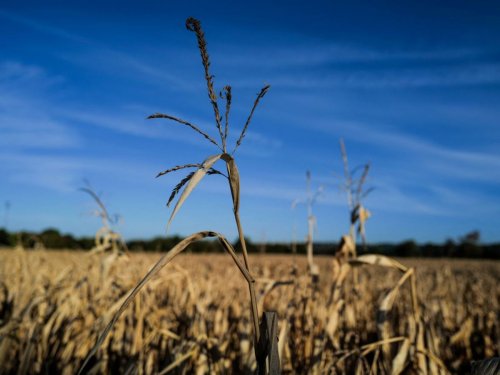 Bassines, eaux usées... ce que prévoit le plan eau pour l'agriculture
