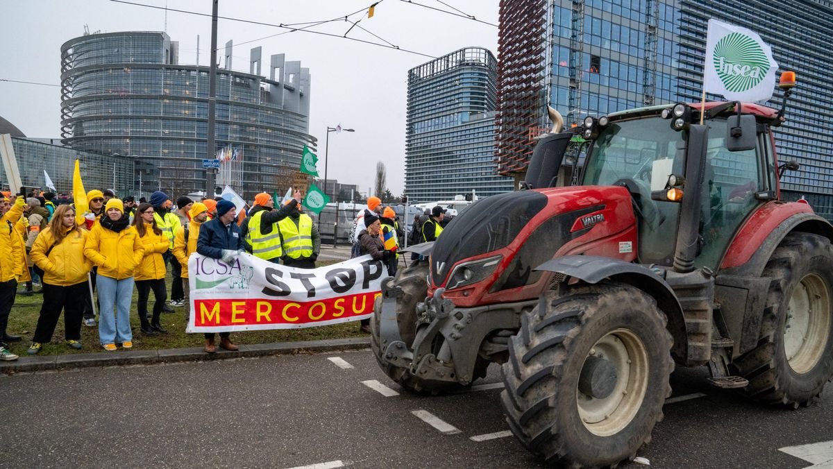 Mercosur : le Parlement européen va se prononcer sur une éventuelle saisine de la Cour de justice de l’UE, le vote s’annonce très serré