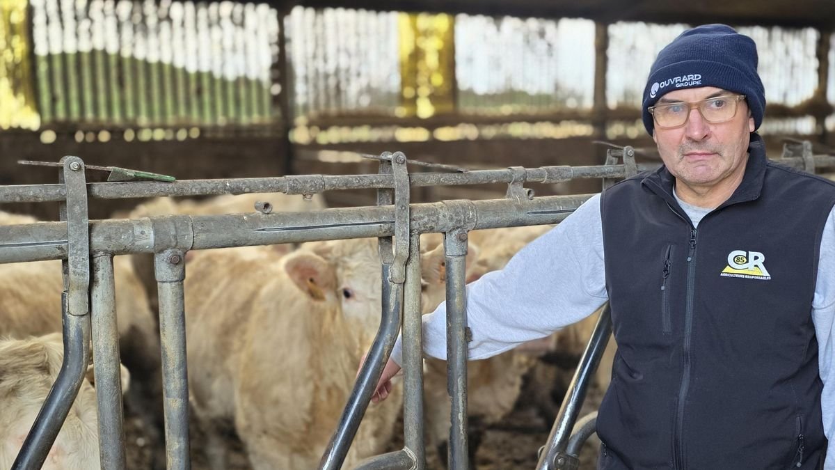 Dermatose nodulaire, Mercosur… le gouvernement sous pression face à la colère grandissante des agriculteurs