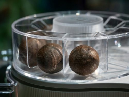 Migros lance des doses de café 100% compostables, sans aluminium ni plastique