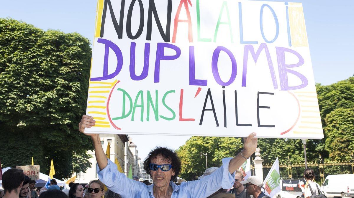 Loi Duplomb : pour Corinne Lepage, « les Sages ont censuré l’acétamipride et limité les bassines, mais validé d’autres reculs environnementaux »