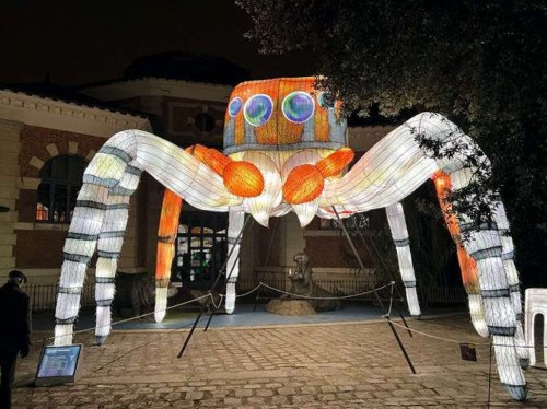Araignée sauteuse, libellule croqueuse... : un mini-monde à découvrir au Jardin des Plantes
