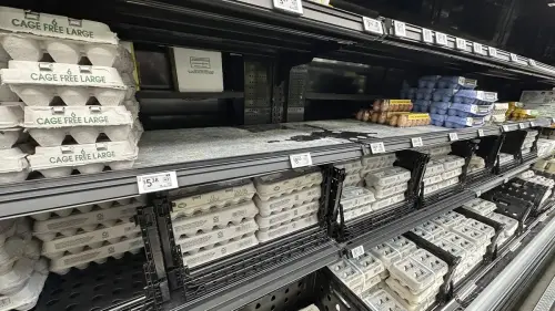 Eggflation : aux États-Unis, le prix de l’œuf s’envole et Donald Trump patine