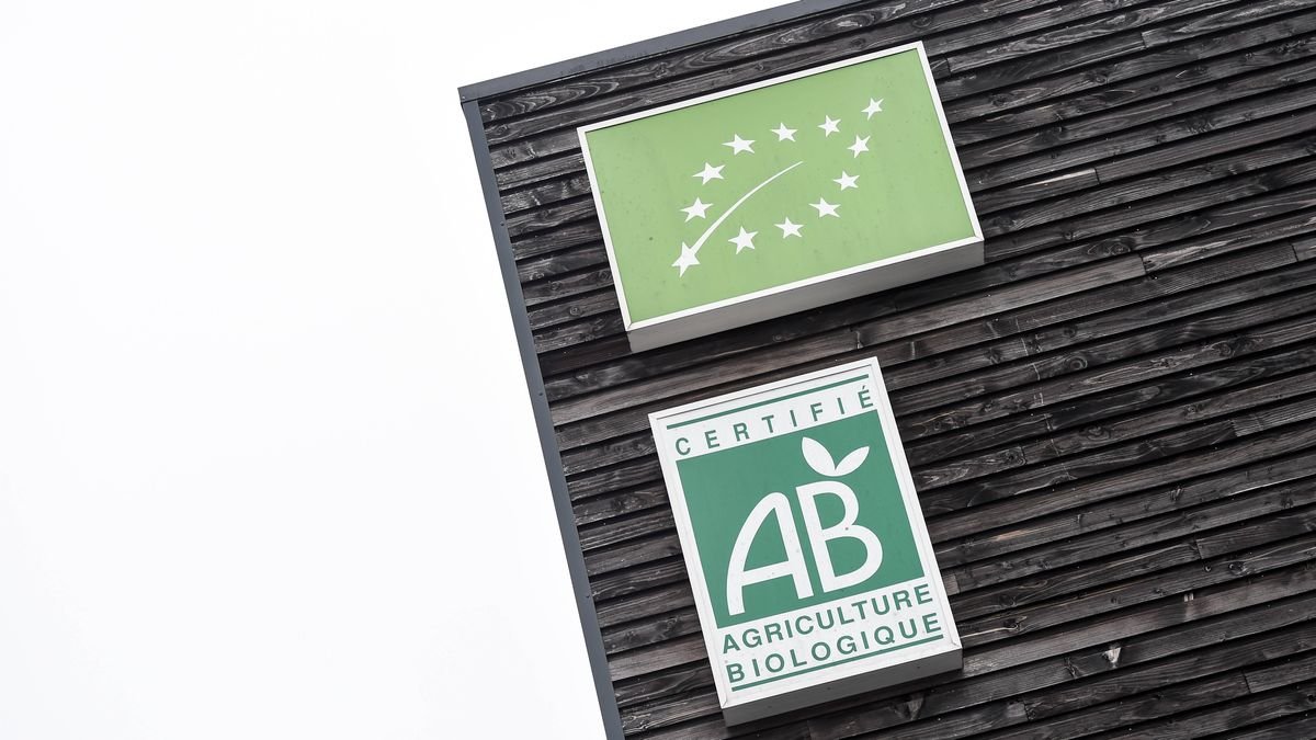 La DGCCRF alerte sur l’utilisation abusive des labels environnementaux