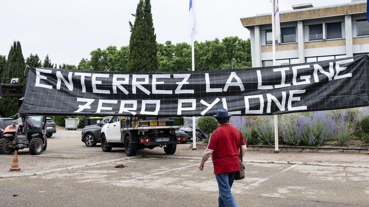 Camargue : agriculteurs et écologistes unis contre une ligne THT aérienne