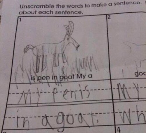 26 Funny Test Answers That Deserve An A+ For Humor