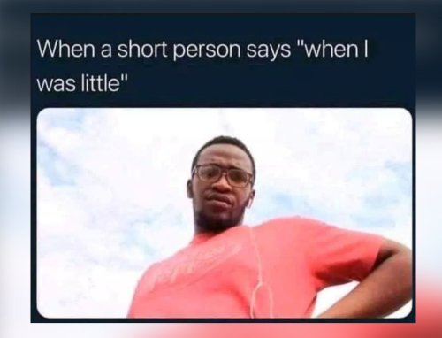 20 Short People Memes That Perfectly Capture The Struggles Of Being Vertically Challenged