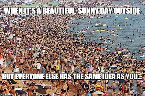 20 Hilarious Vacation Memes That Are Way Too Precise
