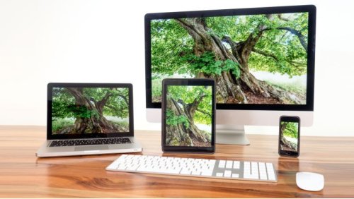 Wie nachhaltig sind PC-Hersteller?: PCs wachsen nicht auf Bäumen
