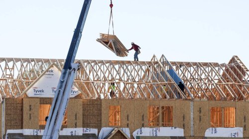 Trump’s purge of undocumented immigrants is already threatening North Carolina’s economy | Opinion
