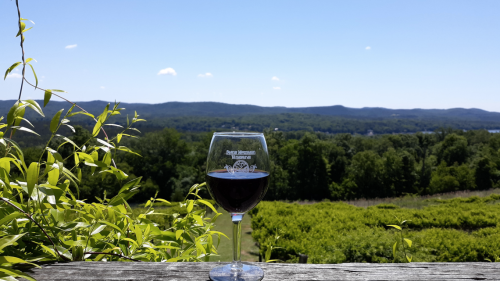 Want to go on a wine tasting? These four wineries are a short drive from Charlotte