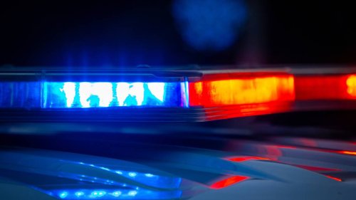 Former MMA fighter repeatedly stabs apartment neighbor, killing him, TX cops say