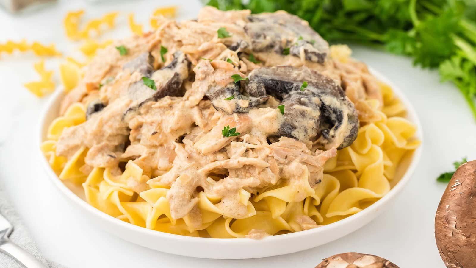 Slow Cooker Chicken Stroganoff
