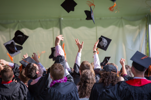 The top 20 university degrees most likely to get you a job revealed by experts