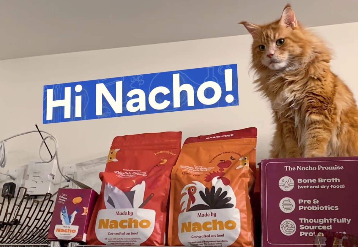 made by nacho cat food chewy