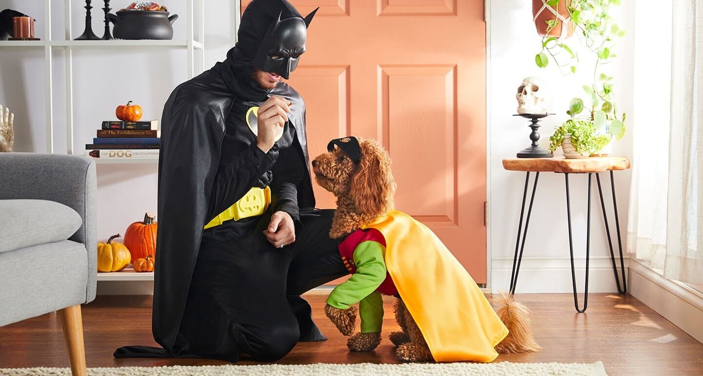 Halloween Pet Safety: Tips for Dogs, Cats & More