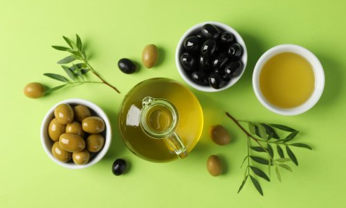 Can Dogs Have Olive Oil? 5 Benefits of Olive Oil for Dogs