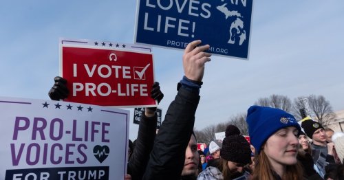 For states surrounding Illinois, anti-abortion law becomes 'an unpainted canvas'