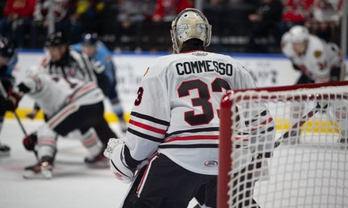Morning Chirps: IceHogs, Drew Commesso Stay Hot, Red Wings Lose Again