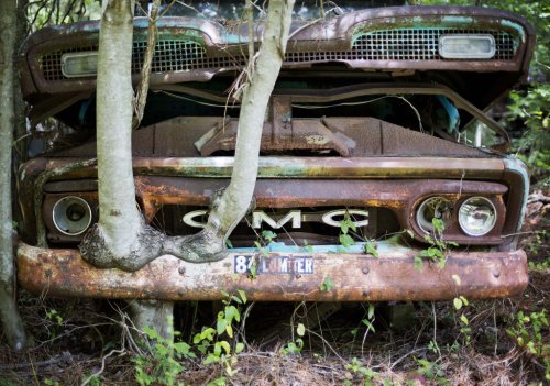 World’s largest classic car junkyard takes root in U.S. forest