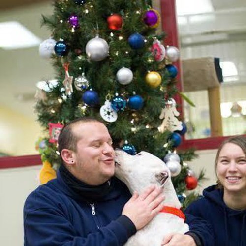 Dog, shelter reunite after 900-mile trip from NYC to Grayslake