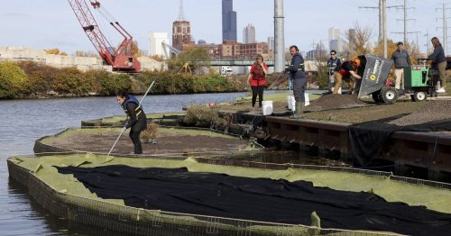 Shedd Aquarium Urban Rivers To Bring Over 3 000 Square Feet Of pricing-bullseye-home-improvements