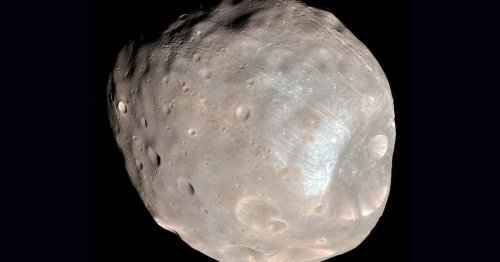 Why the ‘super weird’ moons of Mars fascinate scientists