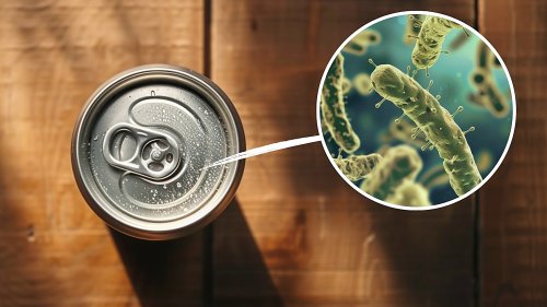 Keime an Getränkedosen: So steht es wirklich um die Hygiene