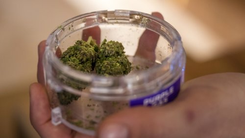 Nach möglicher Legalisierung: Bei Cannabis soll es wie beim Bier ein "Reinheitsgebot" geben