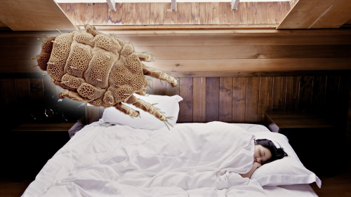Es drohen Milben und Bakterien: So häufig sollte man die Bettwäsche wirklich wechseln