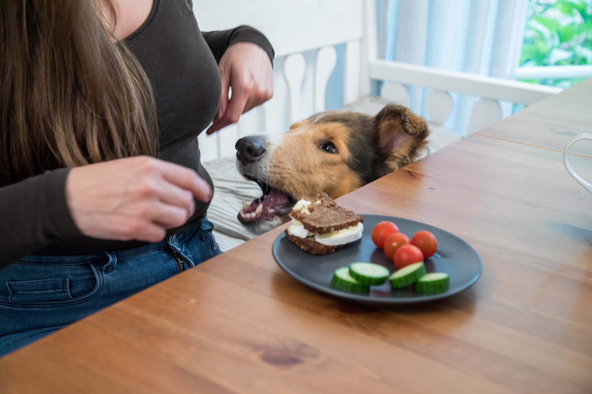 Studien beweisen: Warum die Sirtfood-Diät mehr als nur ein Hype ist