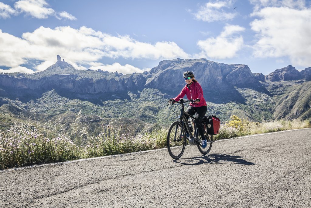 EBIKE
