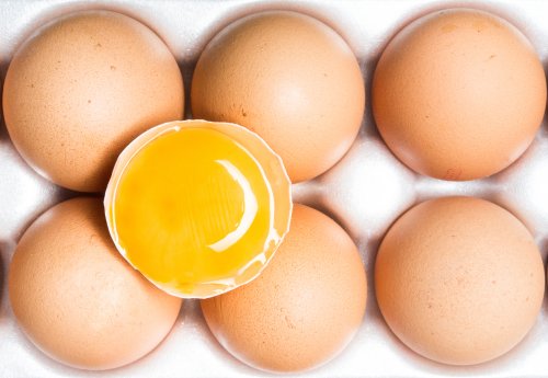 Eier im Test: Worauf Sie beim Kauf achten sollten