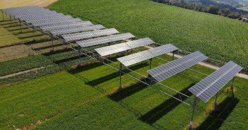 Bauern leiden unter Solarparkbetreibern: Doch es gibt eine Lösung
