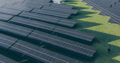 Dorfbewohner bauen heimlich Solarpark: Ihre Ausrede ist grandios