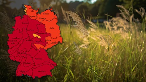 Warnstufe rot in ganz Deutschland: Deutscher Wetterdienst misst hohe Belastung