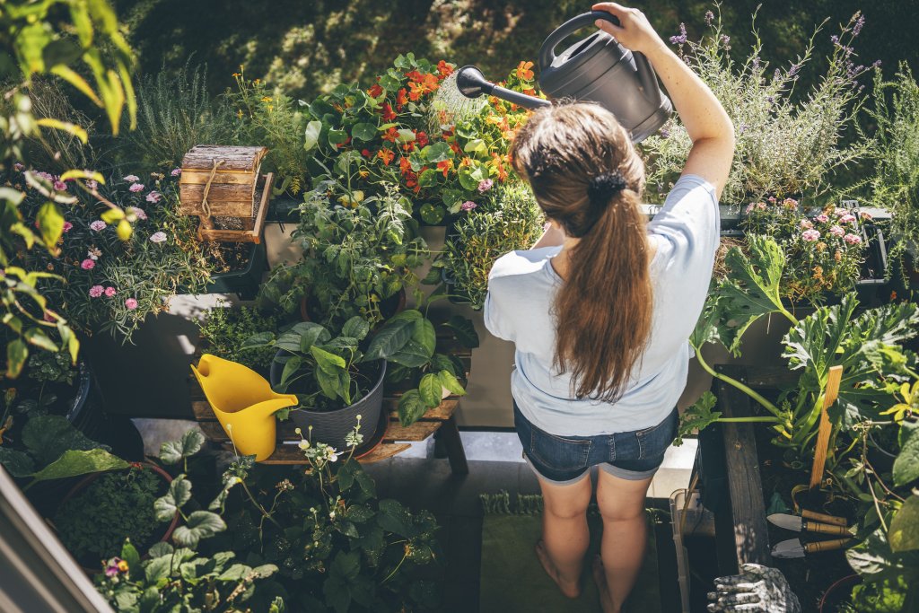 Haus & Garten, Wohnen & Natur