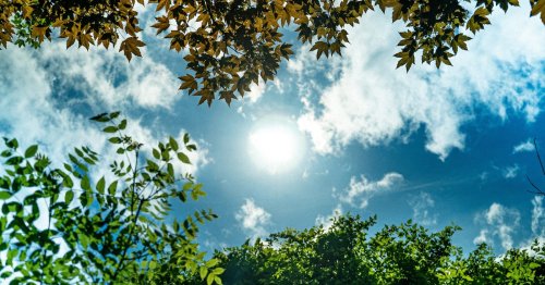 Forscher feiern Solar-Durchbruch: Sie machen Sonnenlicht direkt zu Wasserstoff