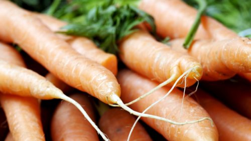 Karotten, Salat, Zwiebeln: Wie Sie aus Gemüseresten neue Pflanzen ziehen können