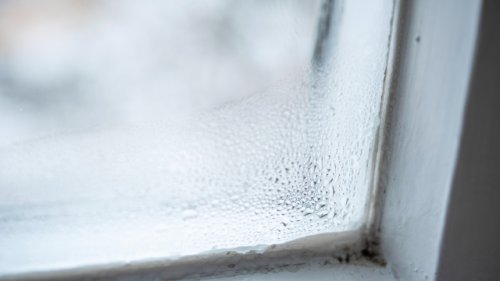 Schimmelfrei durch den Winter: Experte erklärt, worauf Sie jetzt achten sollten