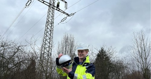 PV-Anlagen abschalten bei zu viel Sonne: Diese Kugeln verhindern es