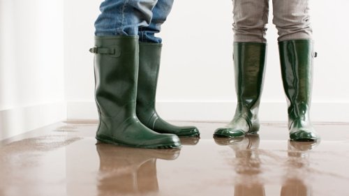 Gummistiefel sorgen bei Regen für trockene Füße - im besten Fall, denn erfahrungsgemäß hält nicht jeder Hersteller, was er verspricht. Unser Partner Haus.de hat Regenstiefel ausgiebig getestet. Bei welchen Modellen die Füße wirklich trocken bleiben, verraten wir hier.