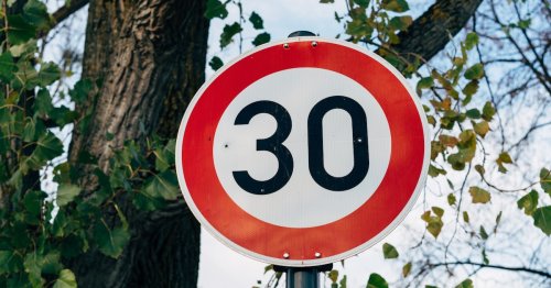 "Mit maximal 30 durch die Hecke": Was bedeutet dieses Verkehrsschild?