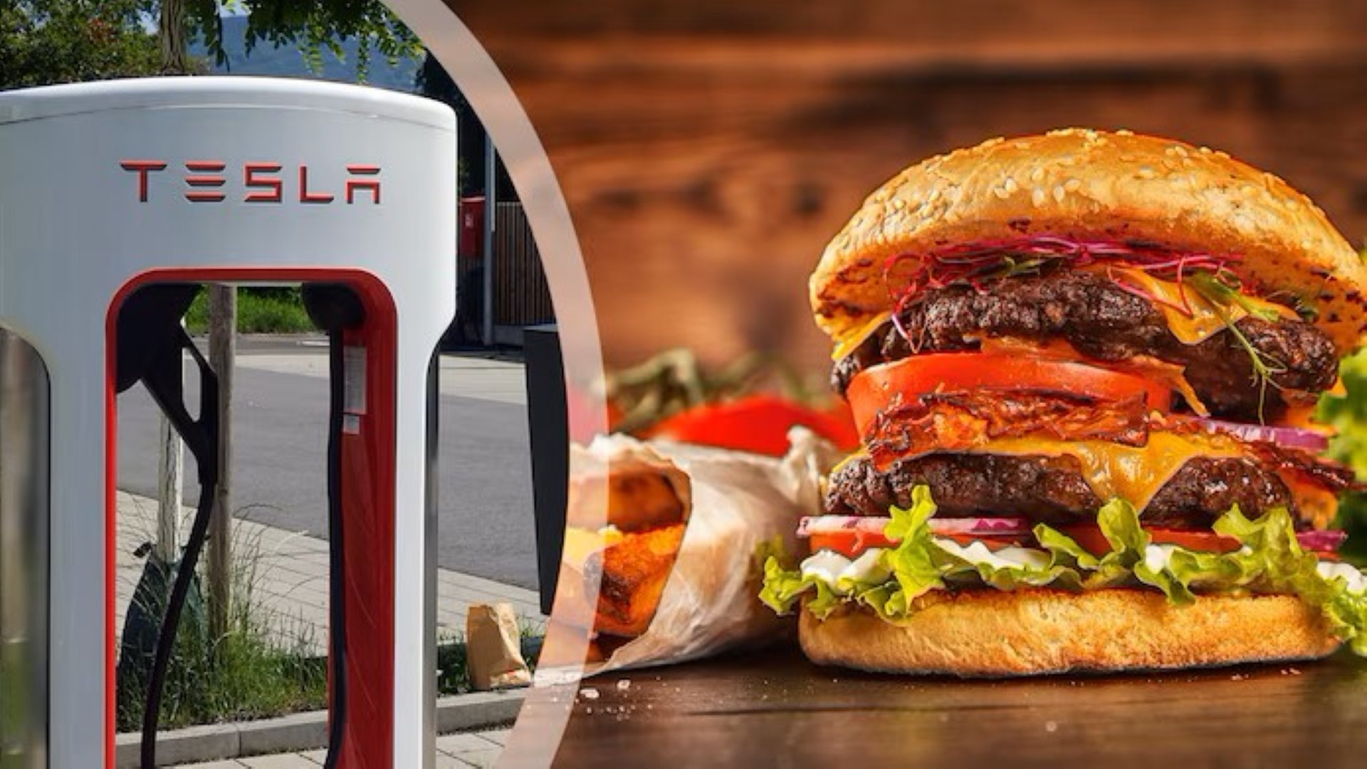 Musk will Tesla-Restaurant eröffnen: Doch keiner will für ihn arbeiten