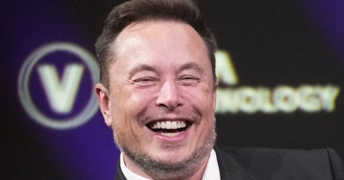 Musk verschenkt E-Autos: Schwärmen die Fahrer deshalb so von ihren Teslas?